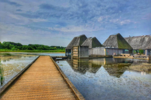 Brockholes Nature Reserve