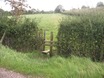 Stile into Muddy Field