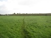 Across Field to Track Along Reservoir