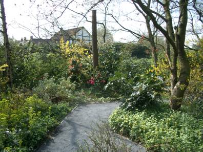 Nellie Carbis Garden