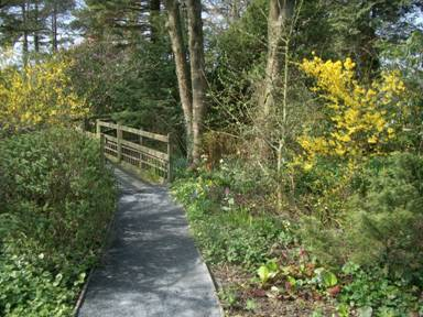 Nellie Carbis Garden