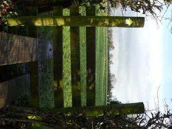 Walk 6 - First Stile