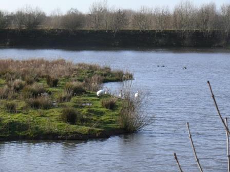 Walk 6 - Grimsargh Wetlands